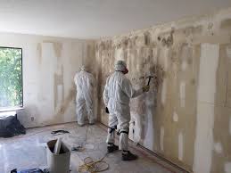 Best Forensic Mold Investigation in Yale, OK